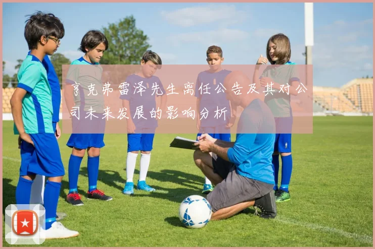 亨克弗雷泽先生离任公告及其对公司未来发展的影响分析